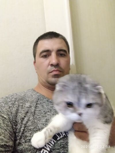  ,   , 43 ,   ,   