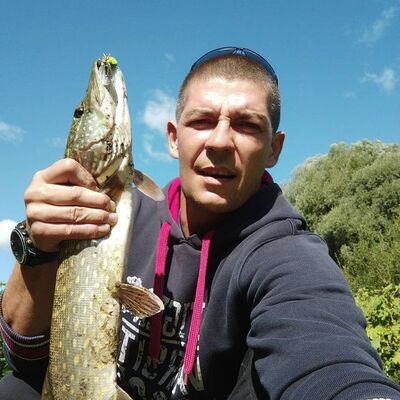   ,   , 38 ,     , c , 