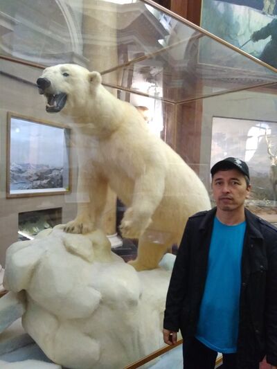  ,   , 48 ,     , c , 