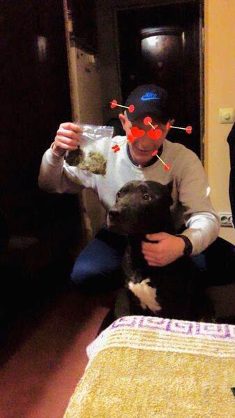  ,   Denis, 29 ,   ,   