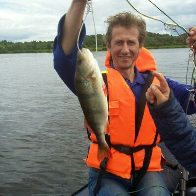  ,   , 53 ,   
