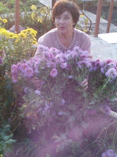  ,   , 73 ,   ,   , c 