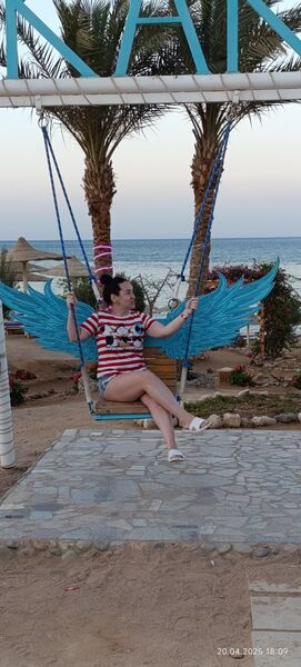  -,   , 39 ,   ,   , c , 