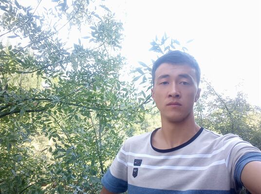  -,   , 31 ,   ,   , c 