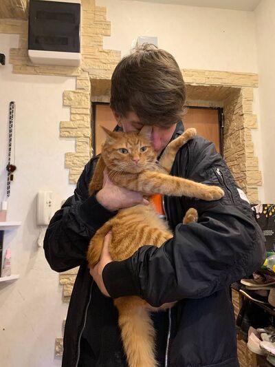  ,   Rocky, 23 ,   ,   