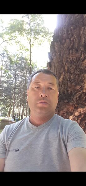  ,   Musa, 47 ,   c 
