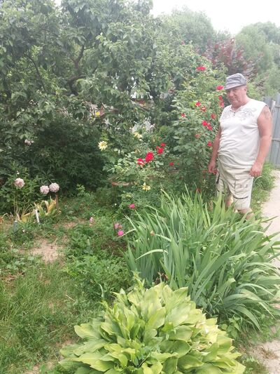  ,   , 65 ,   ,   , c 