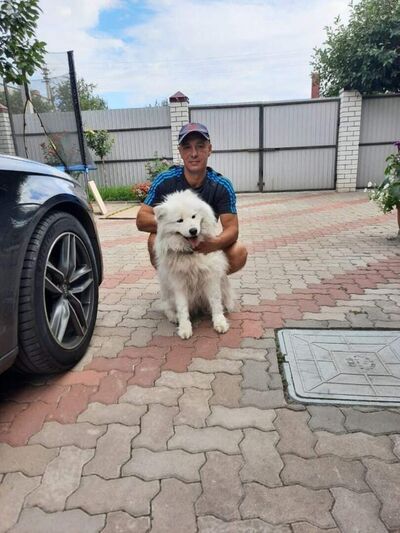  ,   Maxim, 42 ,   ,   