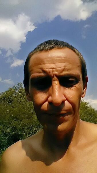   ,   , 45 ,   