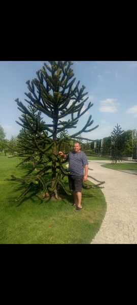  -,   , 59 ,   c 