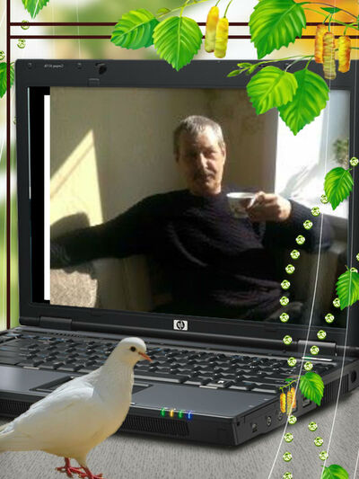  -,   , 63 ,   