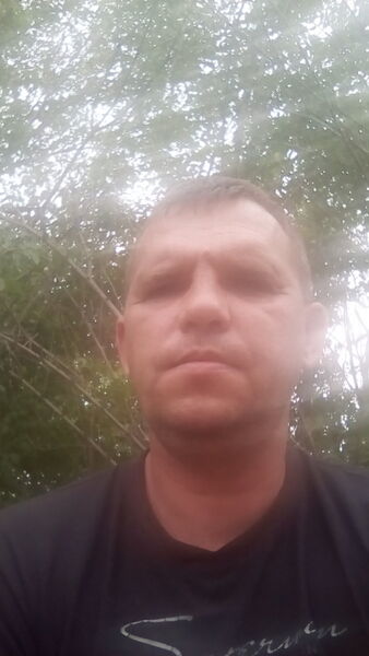  ,   Rysik, 45 ,   