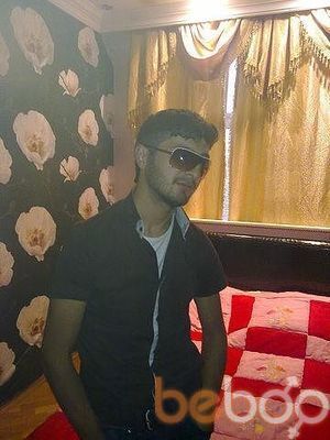  ,   Elman, 37 ,   