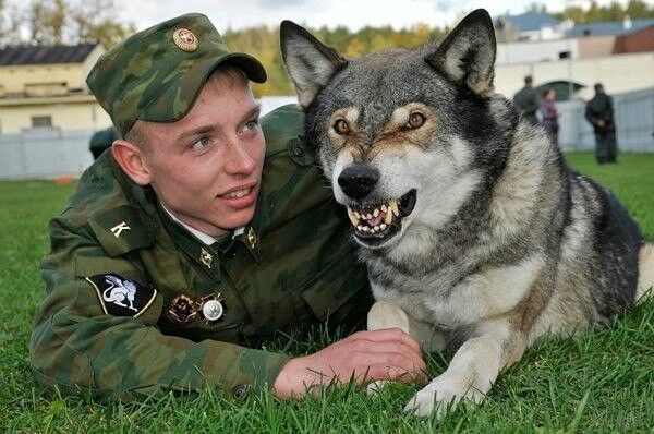  12023663  , 33 ,    -