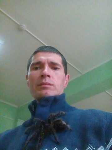  ,   ugenio, 45 ,   