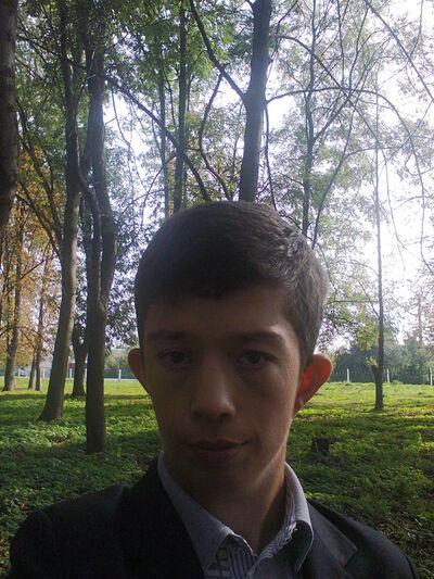  -,   , 29 ,   