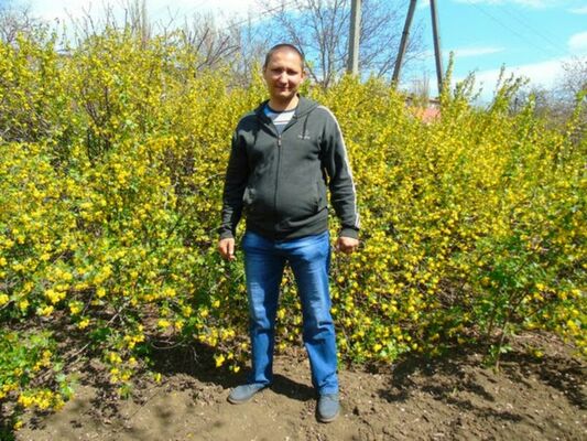  ,   , 43 ,     , c , 
