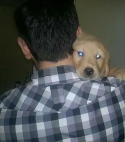  ,   Erol, 42 ,   ,   