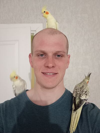  ,   , 26 ,   