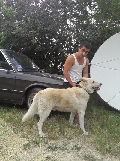  ,   Robert, 33 ,   