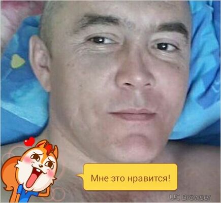  --,   , 53 ,   