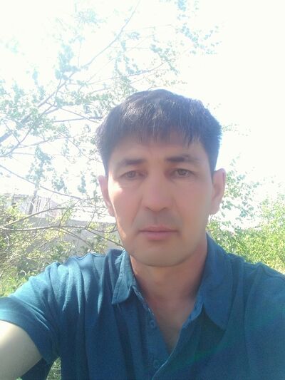  ,   Ant, 53 ,   