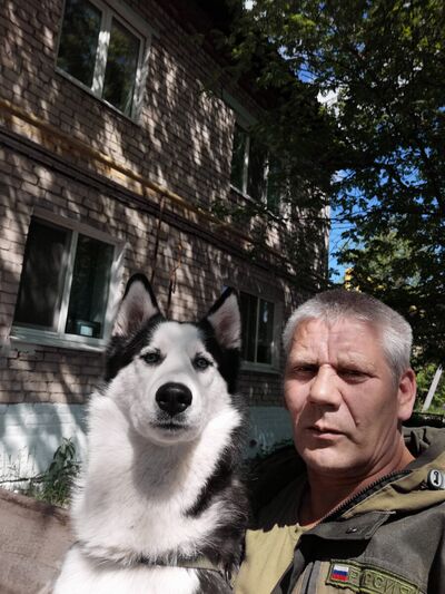  -,   , 49 ,  