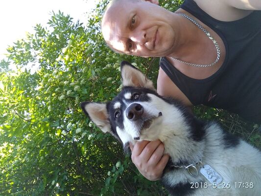  ,   , 52 ,   