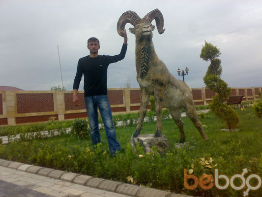  ,   Aslan, 40 ,   