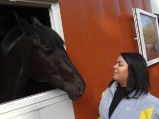 ���������� �������, ���� ������� ������, 36 ���, ������������ ��� ������, ����� � ���������, c�������� ���������