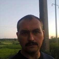  ,   , 53 ,   