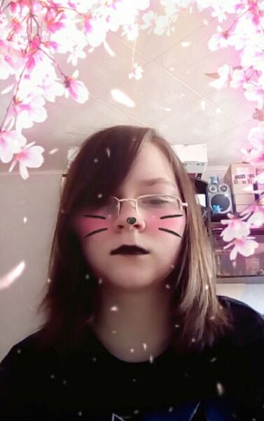  -,   , 25 ,   