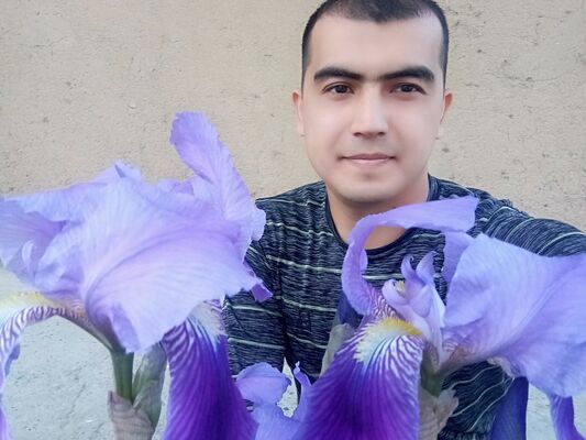  ,   , 33 ,   ,   , c , 