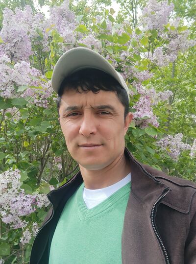  ,    , 37 ,   ,   