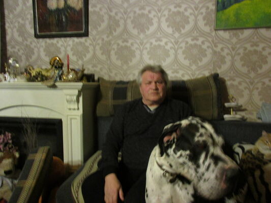  ,   Junior, 71 ,   
