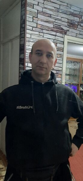  ,   Favaris, 50 ,   ,   