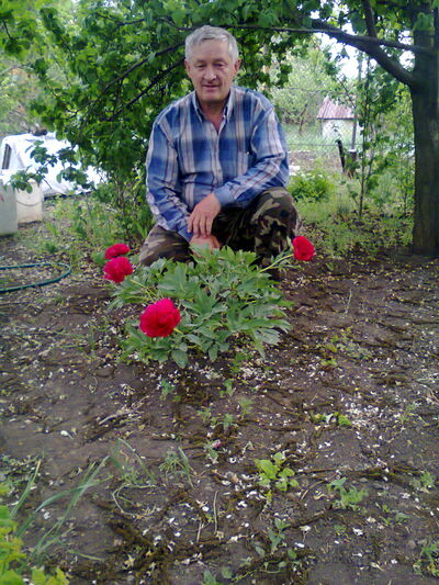  --,   , 67 ,   ,   , c 