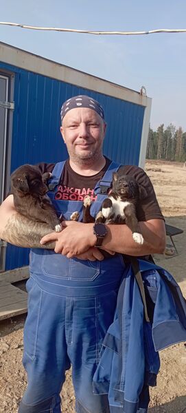  ,   Dmitry, 42 ,   ,   