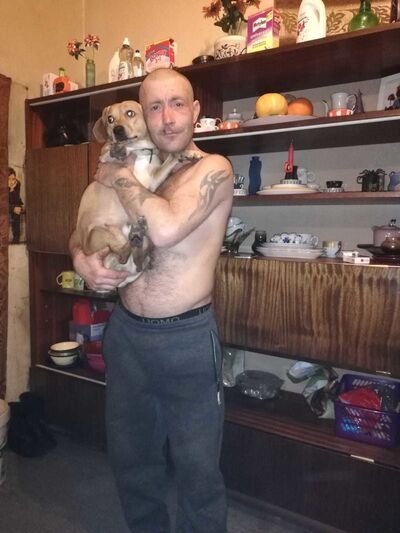  ,   Andis, 40 ,   ,   , c 