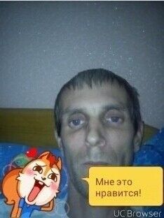  8698733  , 46 ,    