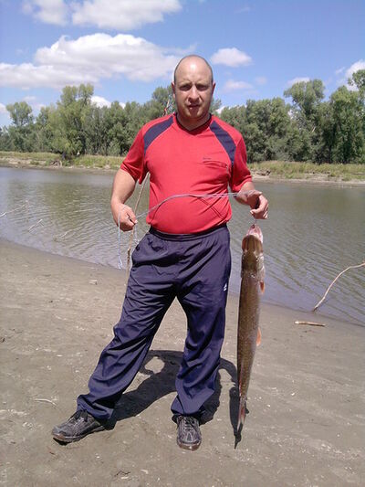  ,   , 46 ,   