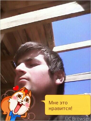  ,   Wild, 28 ,   