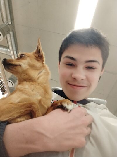  ,   , 19 ,   ,   