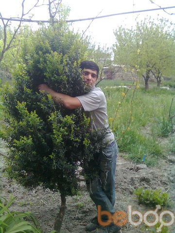  ,   Artur, 35 ,   ,   , c 