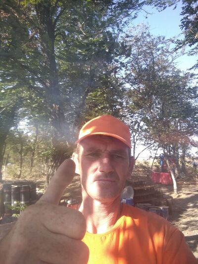  ,   , 50 ,   ,   , c 