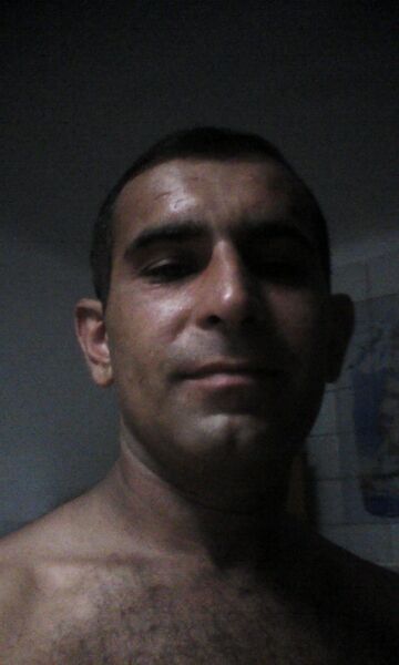  ,   , 44 ,   