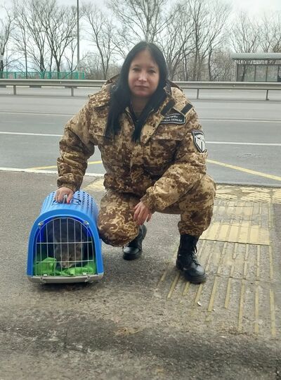   ,   , 33 ,     , c , 