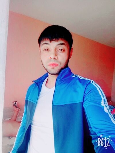  ,   Damir, 31 ,   ,   , c 