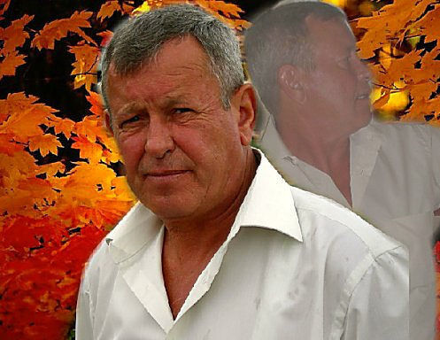  ,   , 65 ,   