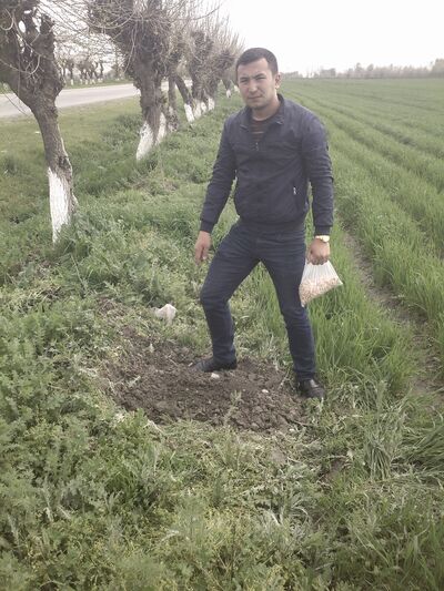  ,   Timur, 40 ,   ,   , c , 